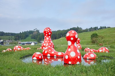 🌿 쿠루쿠 필즈 (쿠루쿠 휘루즈) 이미지 2